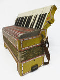 Rare Antique Sante Crucianelli Castelfidardo Italia Piano Accordion 120 Basses 4