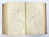 Antique 1879 Anatomy Dissection Medical Book by Ellis, 249 Anatomy Illustrations