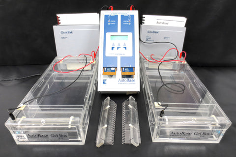 Complete Pulsed Field Gel Electrophoresis System by Q-Life GenePak Autobase ZIFE