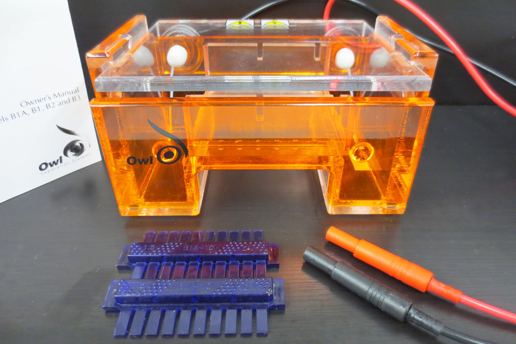 Owl EasyCast B1A 6" DNA Agarose Gel Electrophoresis System, Tray, 2 Combs, Manual