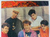 1990's Giant Puzzle Poster 2X3 Feet of the New Kids on the Block, Donnie Wahlberg