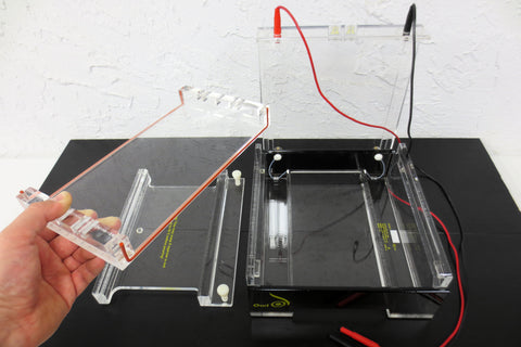 Owl D3 Large Gel Electrophoresis System w/ Tray and External Gel Caster EasyCast