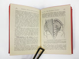 Antique 1901 Surgical Applied Anatomy Book, Sergeant Surgeon King of Whales, 80