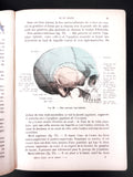 Antique 1920 Anatomy Dissection Medical Book by Rouvière 197 Illustrations Paris