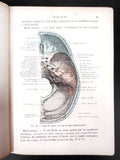 Antique 1920 Anatomy Dissection Medical Book by Rouvière 197 Illustrations Paris