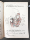 Antique 1920 Anatomy Dissection Medical Book by Rouvière 197 Illustrations Paris