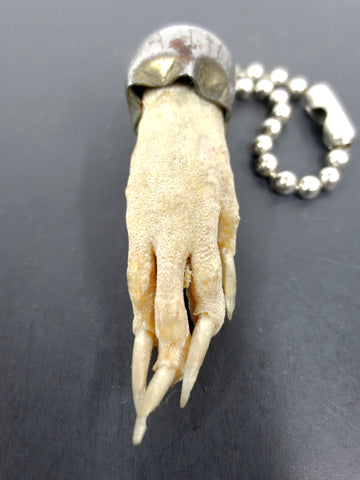 Vintage Taxidermy Rat Paw Charm 1 3/4" Long Nails, Horror, Prop, Necklace