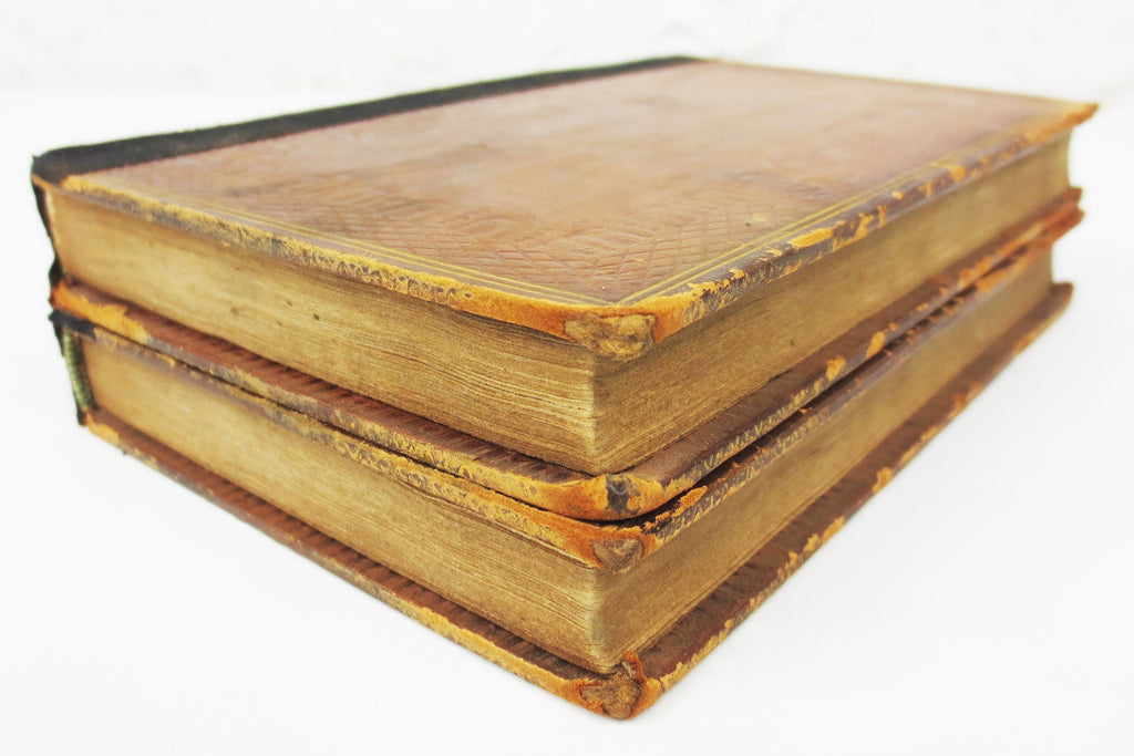 Antique 1820 New Edition Zeluco Human Nature, Life & Manners by Dr. Moore, 2 Volumes