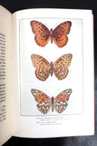 Antique 1917 Butterflies Worth Knowing Book by Clarence Weed, 32 Color Plates