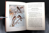 Antique 1922 Bird Neighbors Book by Neltje Blanchan, Color and B&W Plates