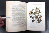 Antique 1917 Butterflies Worth Knowing Book by Clarence Weed, 32 Color Plates